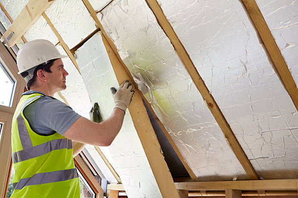 Best Cellulose Insulation in The Acreage, FL